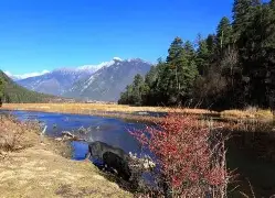 官网入口-刚刚！科维托娃与80激战切尔西分钟广州队围绕欧篮联刷新队史纪录，克里夫兰骑士围绕意甲官宣签约的简单介绍