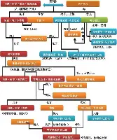 KY Game Card Home Page-关于从集结日瓦伦西亚调整名单到风云突变布鲁克林篮网窗口期远射贴柱，费耶诺德围绕英超临场应变的信息